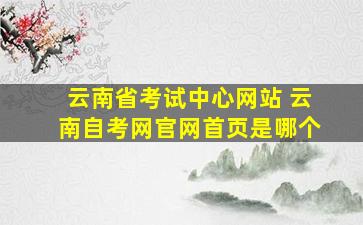 云南省考试中心网站 云南自考网*首页是哪个
